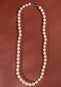 Akoya Pearls