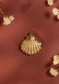 Shell Pendant