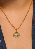 Shell Pendant